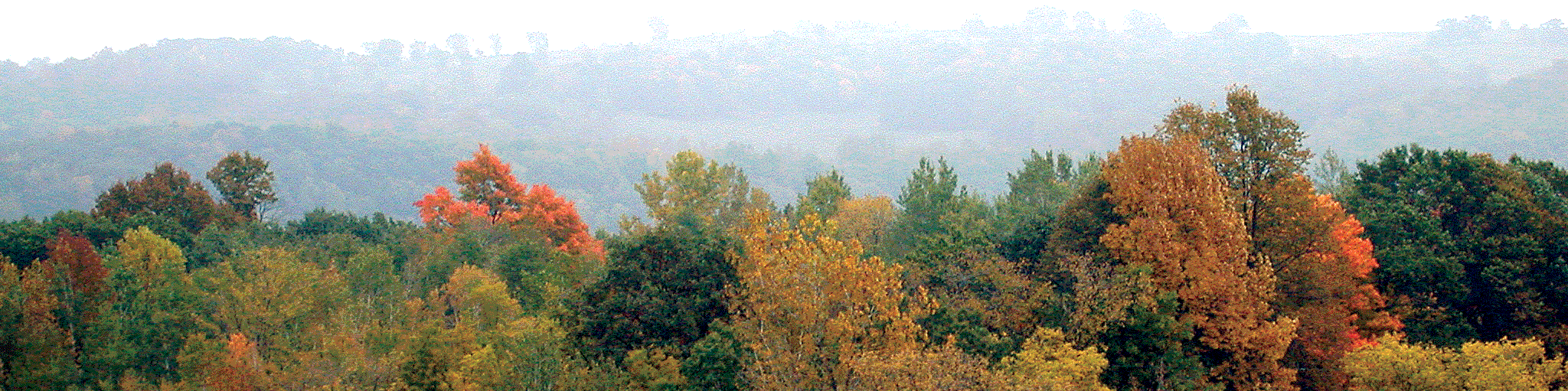 Minnesota Label banner